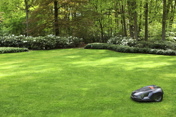 Robot Lawn Mowing